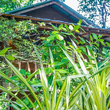 Hotel Dambulla Wilderness World Экстерьер фото