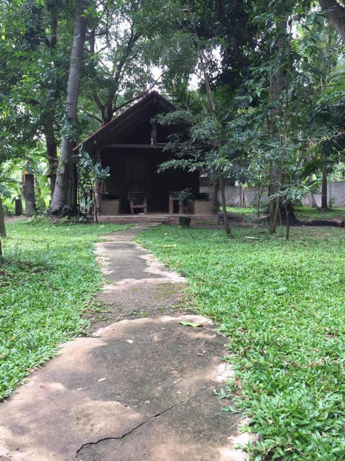 Hotel Dambulla Wilderness World Экстерьер фото
