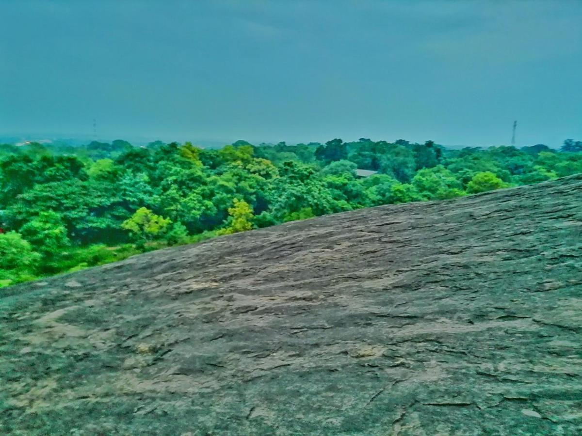 Hotel Dambulla Wilderness World Экстерьер фото