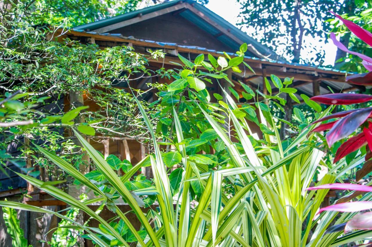 Hotel Dambulla Wilderness World Экстерьер фото