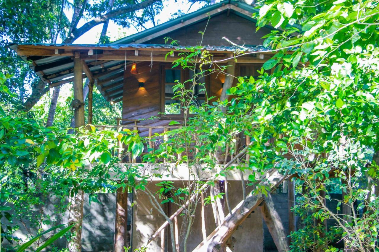 Hotel Dambulla Wilderness World Экстерьер фото